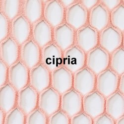 Farbe_cipria_omero_113807