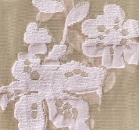 Farbe_nude_fiore_G5997