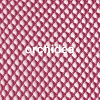 Farbe_orchidea_Trasparenze_silene